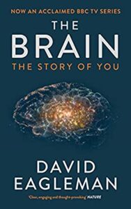 Brain: The story of you